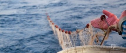 Tzob Başkanı Bayraktar: Av Yasağı 1 Eylül’De Sona Erecek