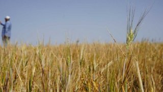 TZOB Başkanı Bayraktar'dan kredi borçları için faizsiz erteleme talebi