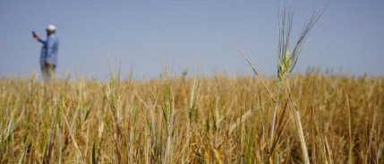 TZOB Başkanı Bayraktar'dan kredi borçları için faizsiz erteleme talebi