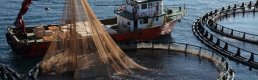 Tzob /Bayraktar: Balıkçılığın Geleceği, Balıkçıların Av Yasağına Uymalarına Bağlıdır