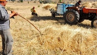 TZOB/Bayraktar: 'Çiftçi Kayıt Sistemi başvurularında son haftaya girildi.'