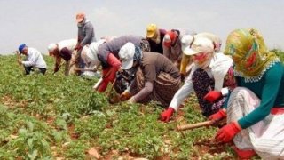 TZOB/Bayraktar: Tarım Alanlarımızı Gözümüz Gibi Koruyalım