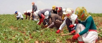 TZOB/Bayraktar: Tarım Alanlarımızı Gözümüz Gibi Koruyalım