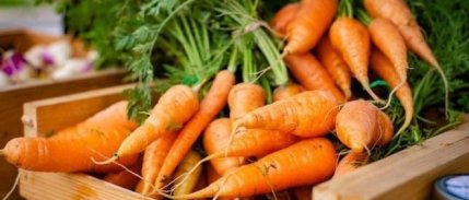 TZOB: Havuçta üretici ile market fiyatları arasındaki fark yüzde 249 oldu