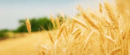 TZOB: 'Tarımda başarının sırrı kooperatifçilikte yatıyor.'