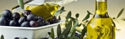 TZOB: 'Zeytin ve zeytinyağında ithalata izin verilmemeli.'