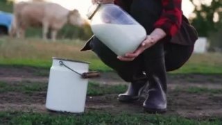 Üreticiler çiğ sütte yeni fiyat önerisini açıkladı