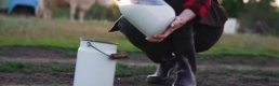 Üreticiler çiğ sütün üretim maliyetini hesapladı