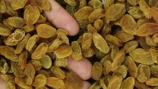 Üzüm Rekoltesi Araştırma Sonuçları Endişelendirdi
