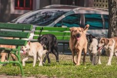 Valilikten belediyelere 