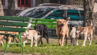 Valilikten belediyelere 