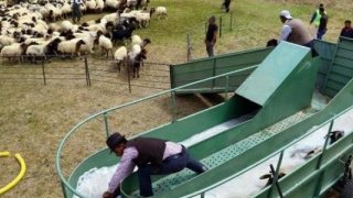 Van'da Üretilen 'Mobil Koyun Banyoluğu' Çiftçilere Dağıtıldı