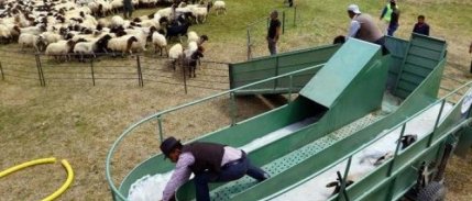 Van'da Üretilen 'Mobil Koyun Banyoluğu' Çiftçilere Dağıtıldı