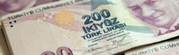 Varlıklarını TL'ye dönüştüren kurumlara yönelik vergi istisnasının esasları belirlendi