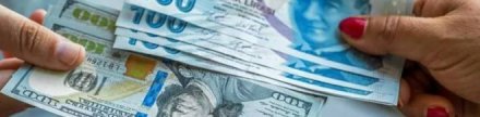 Vatandaşın döviz mevduatı üç hafta sonra geriledi
