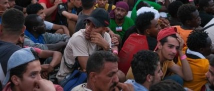 Vatandaşlık verilen Suriyeli sayısı açıklandı