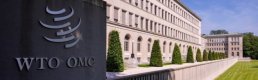 WTO en zorlu sorunlarla karşı karşıya