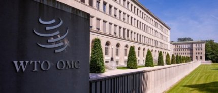 WTO en zorlu sorunlarla karşı karşıya