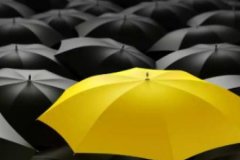 Yenilikçi şirket sayısı yerinde saydı