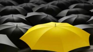 Yenilikçi şirket sayısı yerinde saydı