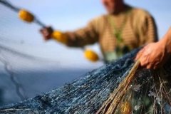 Yerli balıkları korumak için yeni öneri