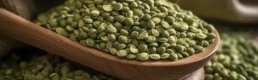 Yeşil mercimek ithalatında gümrük vergisi sıfırlandı