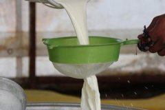 Yetiştiricilerden çiğ süt tavsiye fiyatlarına zam talebi