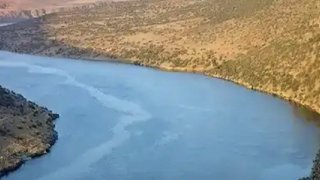 YPG/SDG Halep’i su kesintisiyle tehdit ediyor