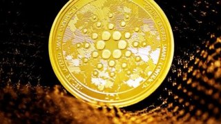 Yükselişteki altcoinler: Ripple ve Cardano Analizi