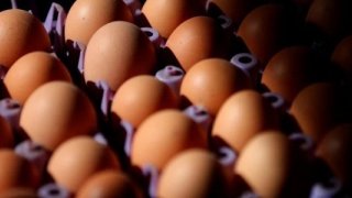 Yumurta israfına karşı yeni düzenleme: Artık üzerinde son tüketim tarihi yazmayacak