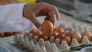 Yumurtada ihracat ve fon kesintisi kararları fiyatları aşağı çekti