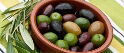 Zeytin ve Zeytinyağı İhracatçıları Ortadoğu Pazarına Odaklandı