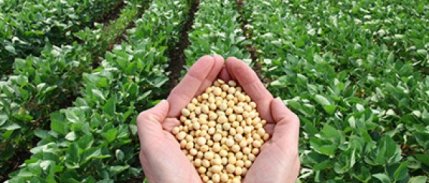 Ziraat Fakültesinde Tarımsal Girişimcilik Kuluçka Merkezi Açıldı