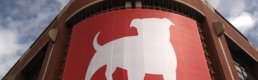 Zynga'nın hisseleri Türk oyun şirketini almasıyla 8 yılın zirvesine yükseldi