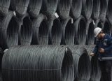 AB'den Çinli çelik üreticilerine sübvansiyon karşıtı soruşturma