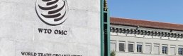 AB Konseyi WTO ile e-ticaret görüşmeleri için yeni kurallar onayladı