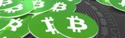 Bitpay: Günlük İşlemlerde Bitcoin Cash İle Ödeme Yapabilecek