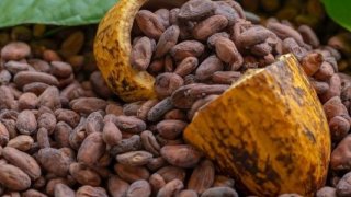 Mayısta fiyatı en fazla artan ürün kakao oldu