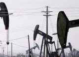 OPEC Başkanından petrolün varil fiyatının 40 dolara yükselmesi beklentisi 
