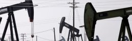 OPEC Başkanından petrolün varil fiyatının 40 dolara yükselmesi beklentisi 