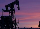 Petrol fiyatları OPEC toplantısı öncesi gerilemeye devam ediyor