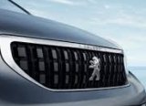 Peugeot Çinli ikinci el hizmet firmasına yatırım yapacak