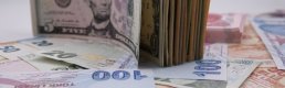 Reuters: Türk lirası, dolar karşısında %12 değer kaybedecek