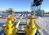 Rusya'nın petrol üretiminin artırılmasının ülkenin gelirlerine olumlu yansıyacağı belirtildi