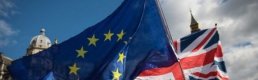 “Şirketler anlaşmasız Brexit ihtimaline karşı önlemler almaya başladı”