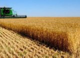Tarım ÜFE Ekim’de yıllık yüzde 16.02 arttı
