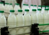Ticari Süt Işletmelerinin Süt Üretimi Bir Yılda Yüzde 9.7 Arttı