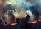 VF Corp. Amazon yangınları nedeniyle Brezilya’dan deri alımını durdurdu