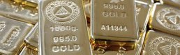 WGC: TCMB, şubatta 22 ton altın aldı