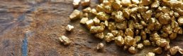 WGC ve DMCC, yolcu yanında taşınan altının yasa dışı ticaretiyle mücadele için birlikte çalışacak